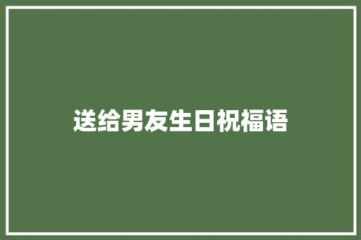 送给男友生日祝福语
