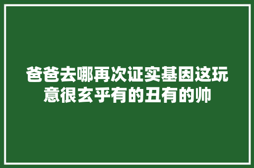 爸爸去哪再次证实基因这玩意很玄乎有的丑有的帅