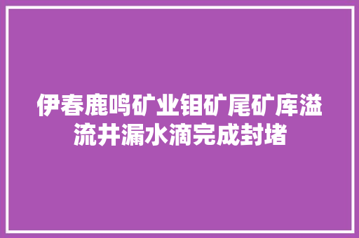 伊春鹿鸣矿业钼矿尾矿库溢流井漏水滴完成封堵