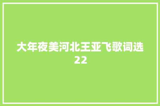 大年夜美河北王亚飞歌词选22