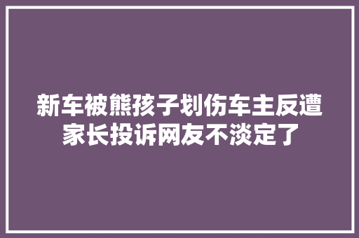 新车被熊孩子划伤车主反遭家长投诉网友不淡定了