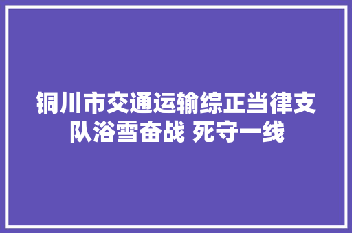 铜川市交通运输综正当律支队浴雪奋战 死守一线