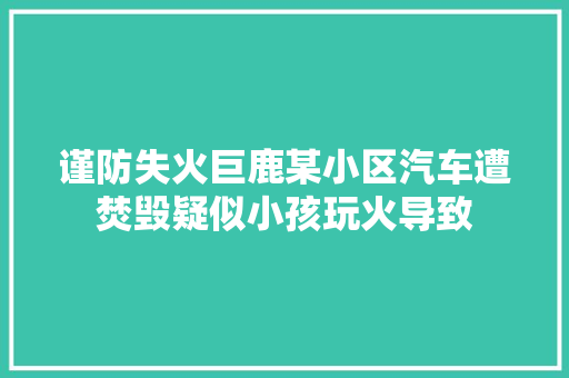 谨防失火巨鹿某小区汽车遭焚毁疑似小孩玩火导致