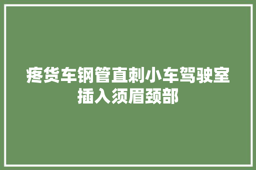 疼货车钢管直刺小车驾驶室插入须眉颈部