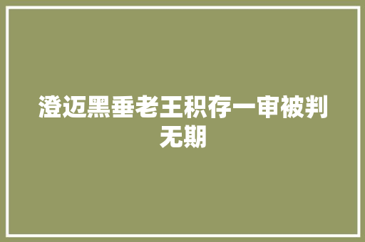 澄迈黑垂老王积存一审被判无期