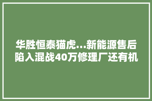 华胜恒泰猫虎…新能源售后陷入混战40万修理厂还有机会吗