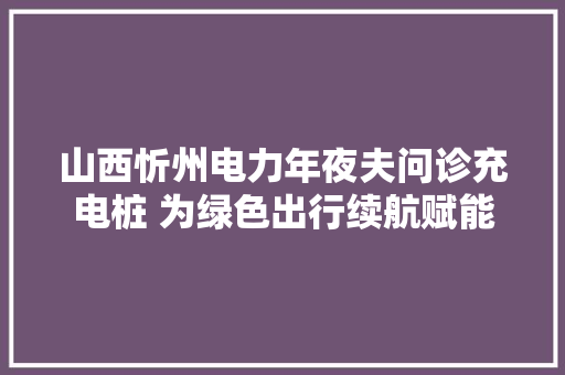 山西忻州电力年夜夫问诊充电桩 为绿色出行续航赋能