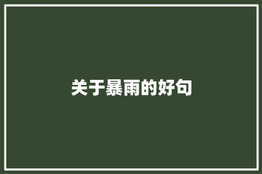 关于暴雨的好句