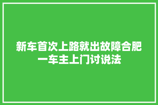 新车首次上路就出故障合肥一车主上门讨说法