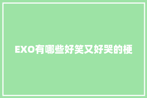 EXO有哪些好笑又好哭的梗