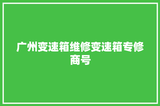 广州变速箱维修变速箱专修商号