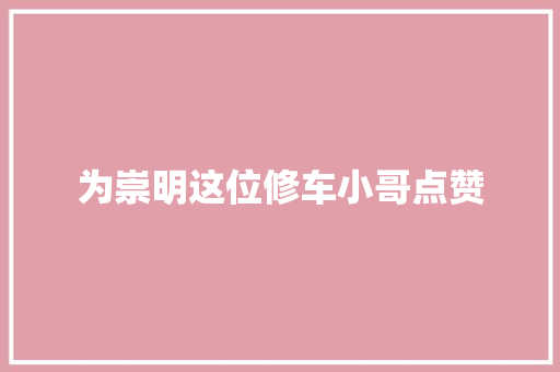 为崇明这位修车小哥点赞