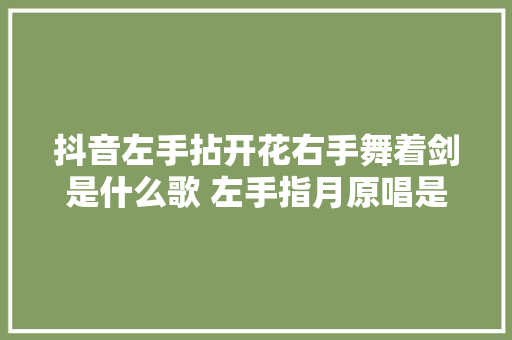 抖音左手拈开花右手舞着剑是什么歌 左手指月原唱是谁歌词完整版