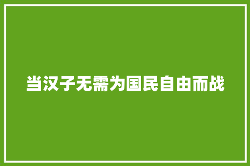 当汉子无需为国民自由而战