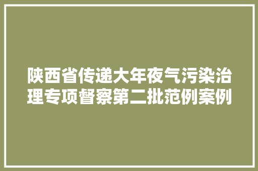 陕西省传递大年夜气污染治理专项督察第二批范例案例