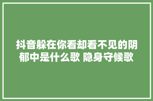 抖音躲在你看却看不见的阴郁中是什么歌 隐身守候歌词谁唱的