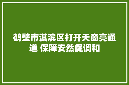 鹤壁市淇滨区打开天窗亮通道 保障安然促调和
