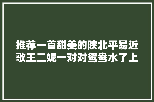 推荐一首甜美的陕北平易近歌王二妮一对对鸳鸯水了上漂