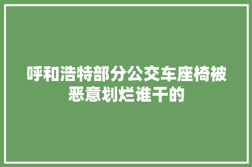 呼和浩特部分公交车座椅被恶意划烂谁干的