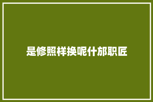 是修照样换呢什邡职匠