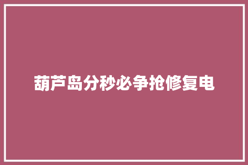 葫芦岛分秒必争抢修复电