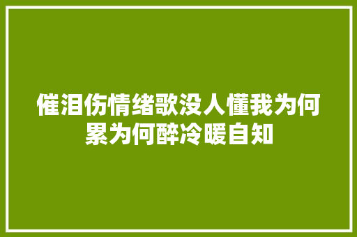 催泪伤情绪歌没人懂我为何累为何醉冷暖自知