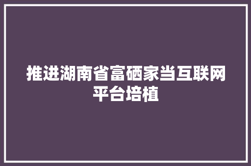 推进湖南省富硒家当互联网平台培植