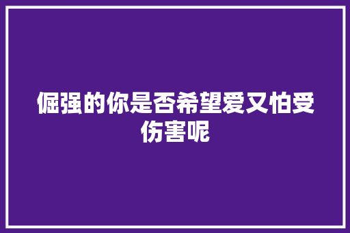 倔强的你是否希望爱又怕受伤害呢