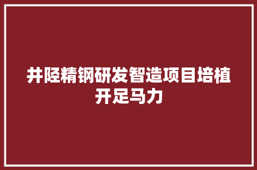 井陉精钢研发智造项目培植开足马力