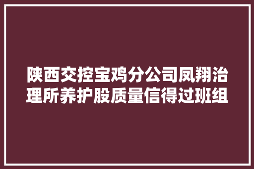 陕西交控宝鸡分公司凤翔治理所养护股质量信得过班组荣获省级表彰