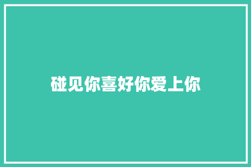 碰见你喜好你爱上你