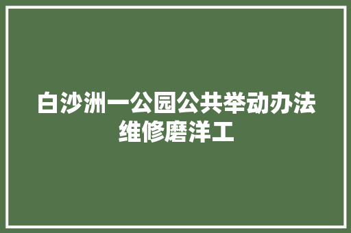 白沙洲一公园公共举动办法维修磨洋工 汽车知识