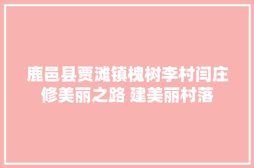 鹿邑县贾滩镇槐树李村闫庄修美丽之路 建美丽村落