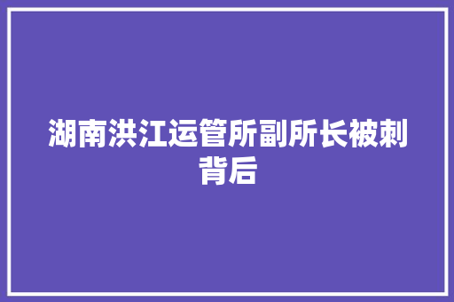湖南洪江运管所副所长被刺背后