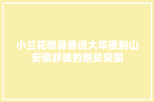 小兰花喷鼻香透大年夜别山安徽舒城的脱贫突围