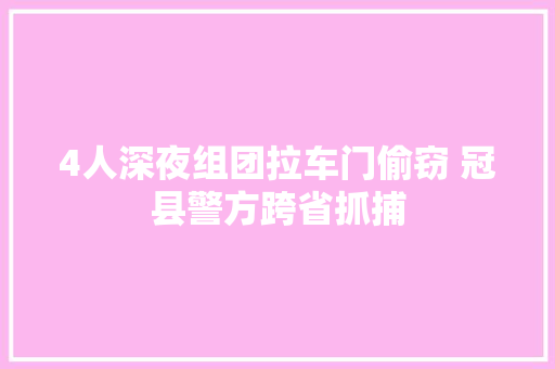 4人深夜组团拉车门偷窃 冠县警方跨省抓捕