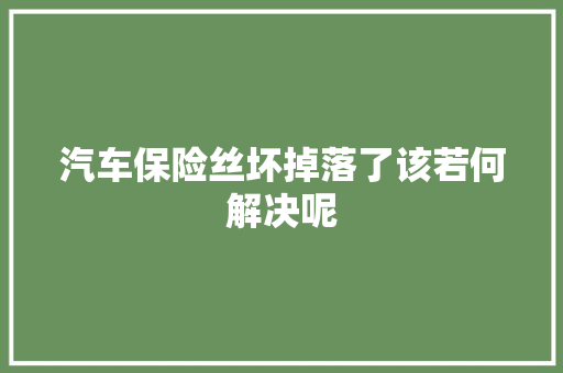 汽车保险丝坏掉落了该若何解决呢