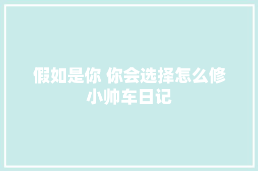 假如是你 你会选择怎么修小帅车日记