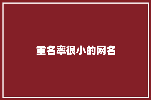 重名率很小的网名