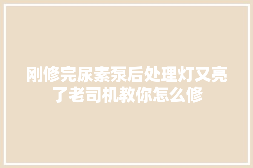 刚修完尿素泵后处理灯又亮了老司机教你怎么修 汽车知识