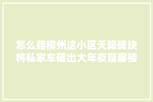 怎么赔柳州这小区天降砖块将私家车砸出大年夜窟窿楼上业主车主违停