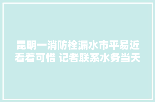 昆明一消防栓漏水市平易近看着可惜 记者联系水务当天修好