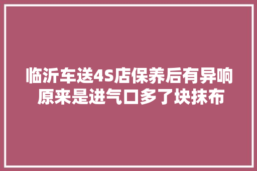 临沂车送4S店保养后有异响 原来是进气口多了块抹布