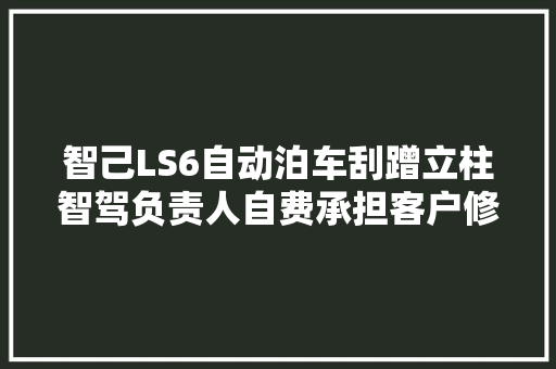 智己LS6自动泊车刮蹭立柱智驾负责人自费承担客户修车费