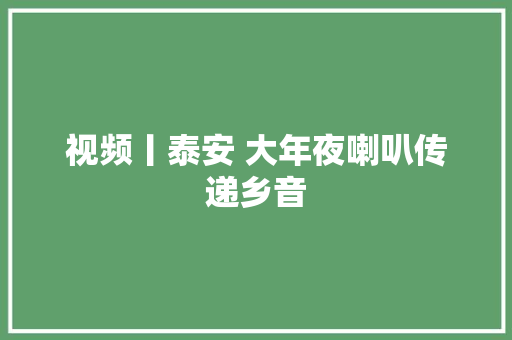 视频丨泰安 大年夜喇叭传递乡音