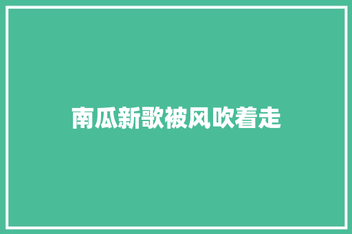 南瓜新歌被风吹着走