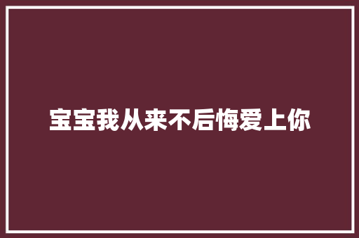 宝宝我从来不后悔爱上你