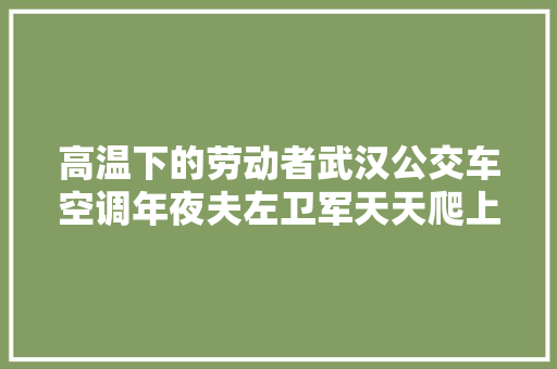 高温下的劳动者武汉公交车空调年夜夫左卫军天天爬上车顶检修50多次