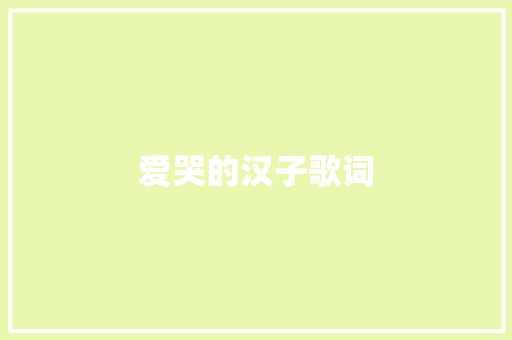爱哭的汉子歌词