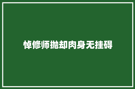 悼修师抛却肉身无挂碍